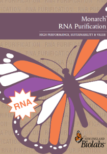 NEB Monarch RNA